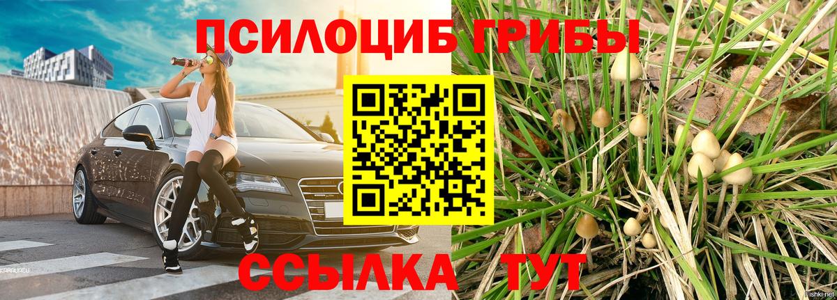 Галлюциногенные грибы GOLDEN TEACHER Рязань